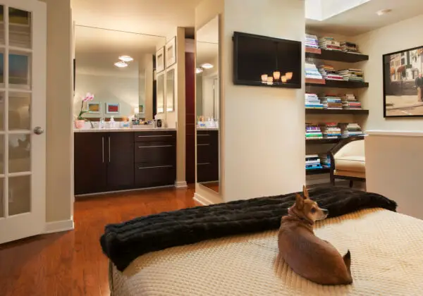 Pet-Friendly Furniture for Your Furry Friends | WPL Interior Design