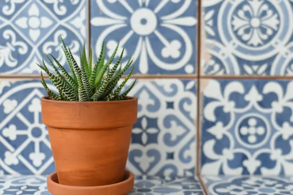 Designing with Terracotta Tiles for Timeless Beauty | WPL Interior Design