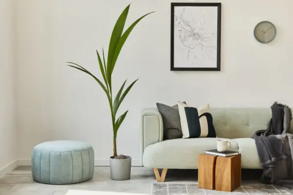 Interior Design Trends You Can Use in Any Season | WPL Interior Design